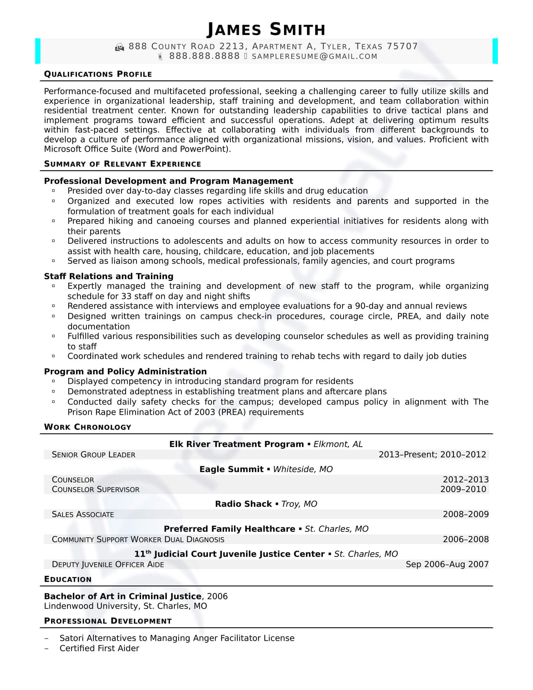 us resume format sample